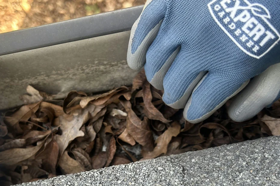 Gutter Cleaning Rollingwood TX