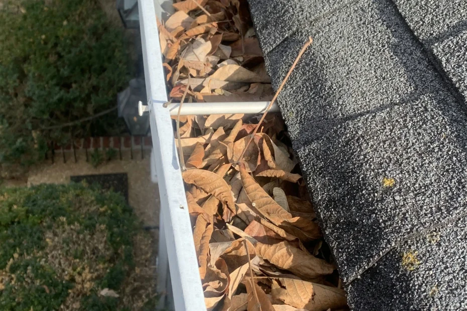 Gutter Cleaning Rollingwood TX